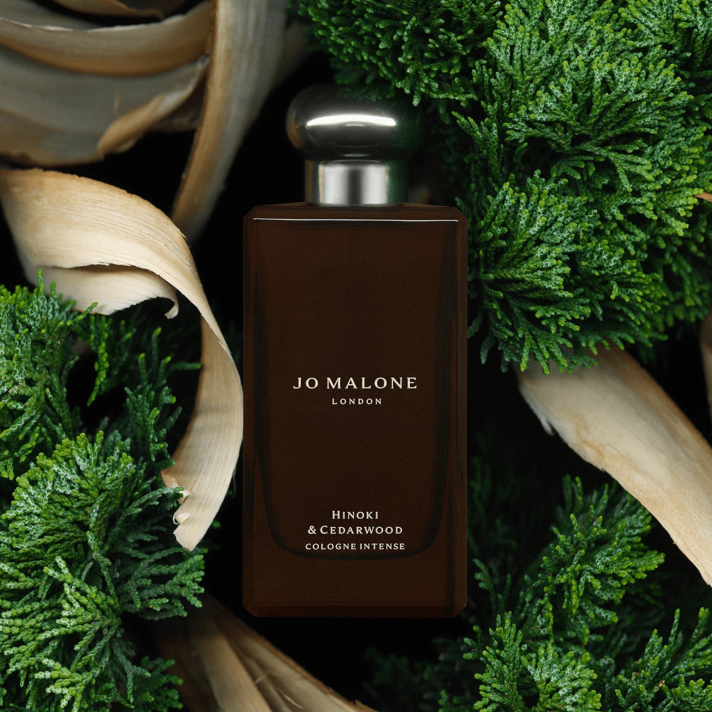 HINOKI & CEDARWOOD
